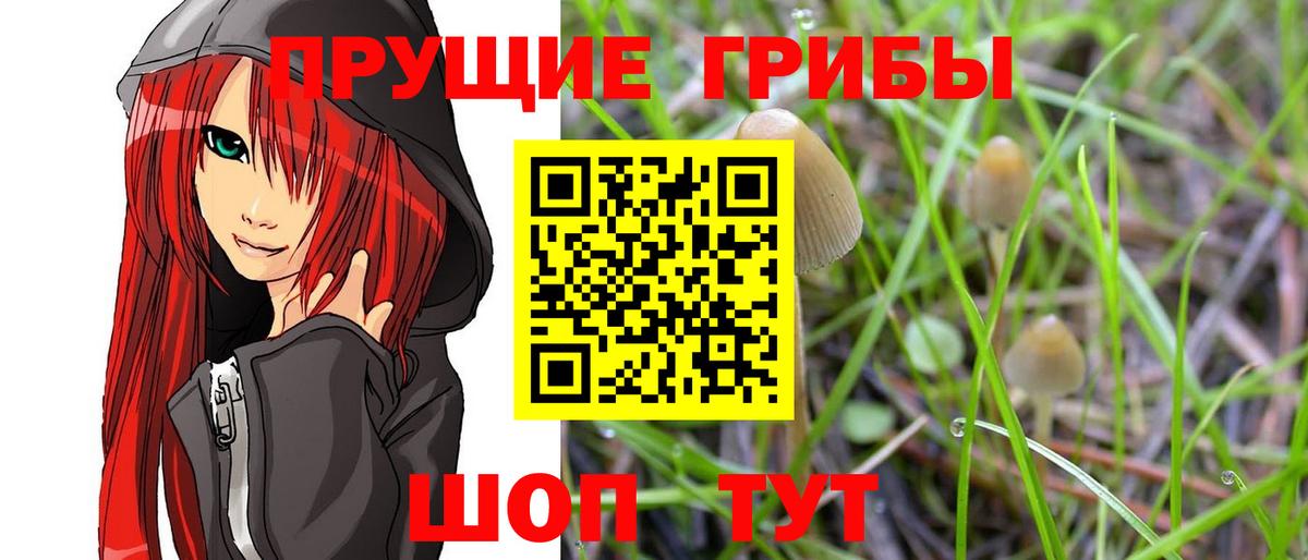 Галлюциногенные грибы Magic Shrooms  Вход с VPN  Псилоцибиновые грибы мицелий  Нижний Тагил 