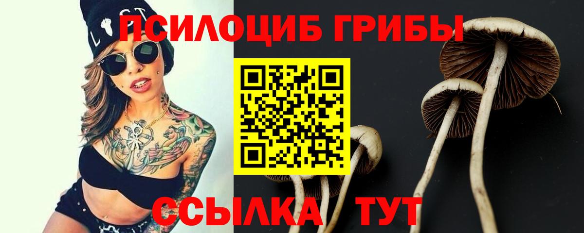 Галлюциногенные грибы ЛСД Нижний Тагил
